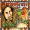 The Grassmasters - So Much Trouble In the World