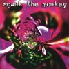 Spank the Monkey