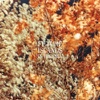 In the Fall - EP