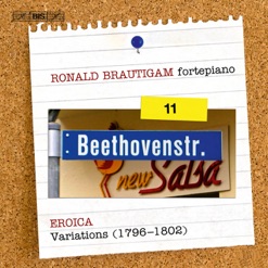 BEETHOVEN/SOLO PIANO WORKS - VOL 8 cover art