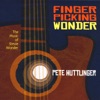 Fingerpicking Wonder: The Music of Stevie Wonder, 2009