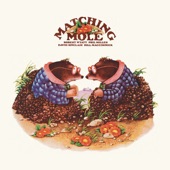 Matching Mole - Part of the Dance (Jam)