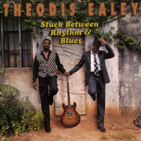 Theodis Ealey - Stuck Between Rhythm and Blues artwork