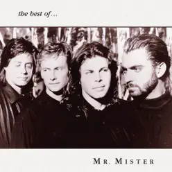 The Best of Mr. Mister - Mr. Mister