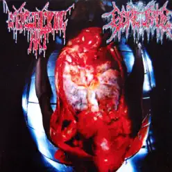 Split Album - Corpsefucking Art