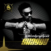 Intoxication (Deluxe Edition) artwork