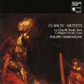 Bach: Motets artwork