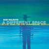 Bob Holroyd - Journeyman