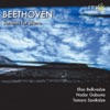 Piano Sonata No. 26 in E-Flat Major, Les Adieux, Op. 81a: I. Das Lebewohl, Adagio - Allegro