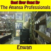 The Anansa Professionals - Enwan