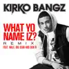 What Yo Name Iz? (Remix) [feat. Wale, Big Sean and Bun B] - Single album lyrics, reviews, download