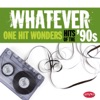 Whatever: One Hit Wonders of the '90s, 2011