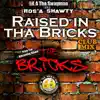 Raised In Tha Bricks (Club) - Single album lyrics, reviews, download