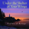 Under the Shelter of Your Wings Psalms of Refuge, 2010