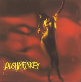Pushmonkey, 1998