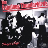 The Fabulous Thunderbirds - Rock This Place
