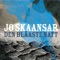 Solskinsveg - Jo Skaansar lyrics