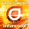Enhanced Music - Autumn Collection 2010, 2010