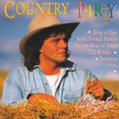 Ich steh' auf Country-Music artwork