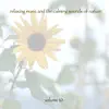 Relaxing Music and the Calming Sounds of Nature, Vol. 10 album lyrics, reviews, download