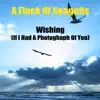 Wishing (If I Had A Photograph Of You) (Re-Recorded / Remastered) album lyrics, reviews, download