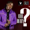 Stream & download Oh Why - Single