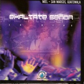 Exaltate Señor artwork