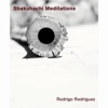 Shakuhachi Meditations, 2010
