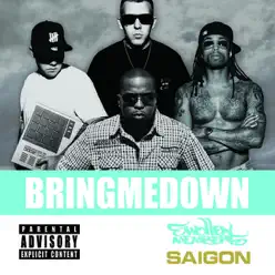 Bring Me Down (Swollen Mix) [feat. Saigon] - Single - Swollen Members