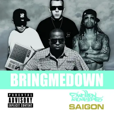 Bring Me Down (Swollen Mix) [feat. Saigon] - Single - Swollen Members