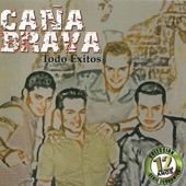 Caña Brava: Todo Exitos (Coleccion 12 Años) artwork