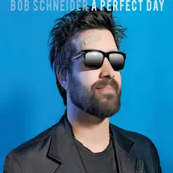 A Perfect Day - Bob Schneider