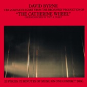 David Byrne - My Big Hands (Fall Through the Cracks)