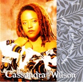 Cassandra Wilson - Dance to the Drummer Again