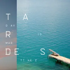 Tardes - David Martinez Tardes - David Martinez