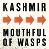 Mouthful of Wasps - Kashmir