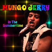 In The Summertime (Re-Recorded / Remastered) by Mungo Jerry