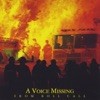 A Voice Missing From Roll Call - CD Single