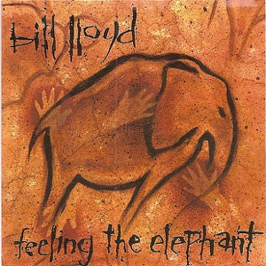 Feeling the Elephant