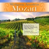 Wolfgang Amadeus Mozart: Serenade No.10 in B-Flat Major, K.361 ""Gran Partita""; Symphony No.1 in E-Flat Major, K.16, 2010