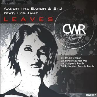 Leaves (Soulplate Remix) by Aaron The Baron & STJ song reviws