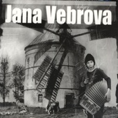 Jana Vebrova - Tažné ptačice