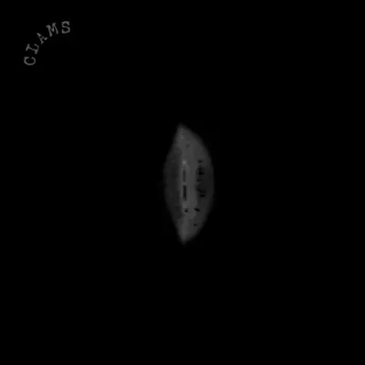 Clams - Clams