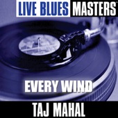 Live Blues Masters: Every Wind artwork