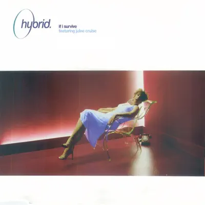 If I Survive - Hybrid If I Survive - Hybrid