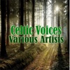 Celtic Voices - Man