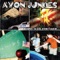 I Wanna Be an Avon Junky - Avon Junkies lyrics