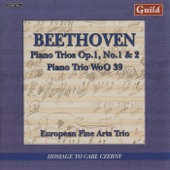 Piano Trio No. 2 in G Major, Op. 1, No. 2: I. Adagio–Allegro Vivace artwork