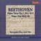 Piano Trio No. 1 in E-Flat Major, Op. 1, No. 1: IV. Finale: Presto artwork