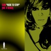 Here to Stay (Mr. V Rmx)